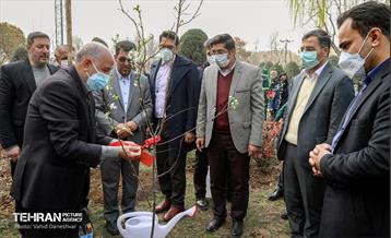 مراسم‌ کاشت نهال در بوستان بهاران منطقه ۱۷