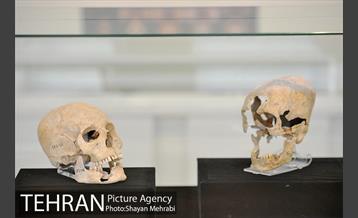 موزه ایران باستان 35