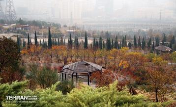 یک روز پاییزی در منطقه 22 5