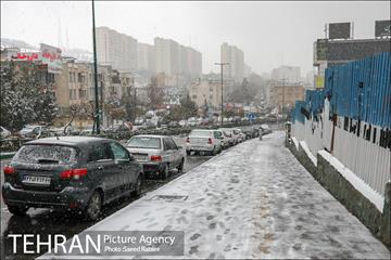 بارش نخستین برف پاییزی در تهران 18