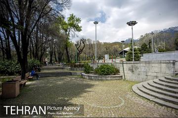 بوستان نیاوران 7
