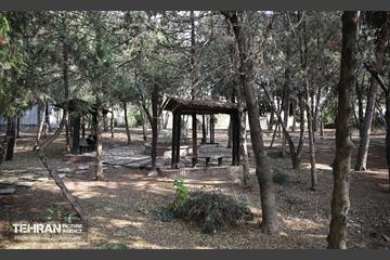 طبیعت پاییزی باغ راه فدک تهران 41