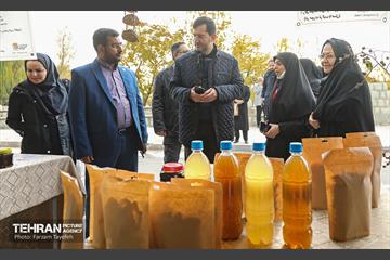 پنجمین جشنواره خرمالوی کن 25