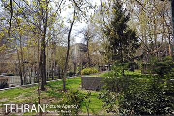بوستان نیاوران 27