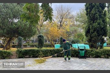 پاییز پارک شهر 8