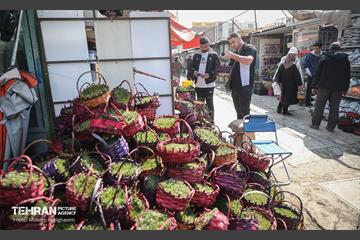 بازار گل شهید محلاتی در آخرین روزهاى سال 17