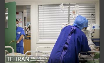 جان تو و جان شهر 17