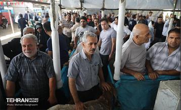 بازدید از مرکز عرضه بهداشتی دام ویژه عید قربان 19