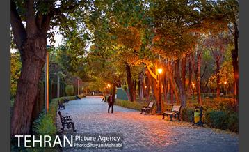 طبیعت پاییزی پارک شهر 13