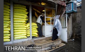 محله پامنار  39