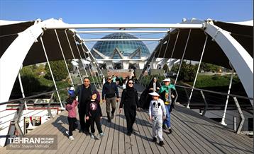 همایش‌ پیاده‌روی خانوادگی کارکنان شهرداری تهران 15