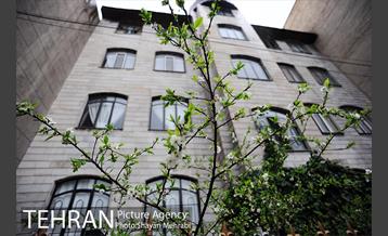 بارش باران بهاری در تهران  10