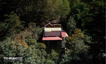 شهرنگار؛ درکه 12