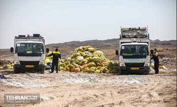 نگاهی به پروژه های سازمان مدیریت پسماند شهرداری تهران 24