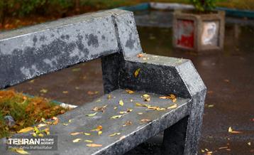 بارش باران پاییزی در تهران 6