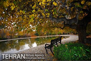 باغ گیاه‌شناسی ملی ایران 42