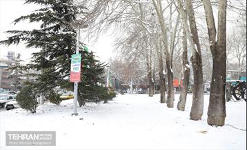 عصر زمستانی تهران 5