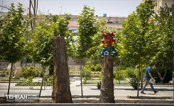 جان دوباره در درختستان 31