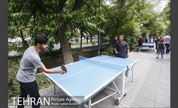 گذر فرهنگی هنری پنجشنبه های بلوار کشاورز 14