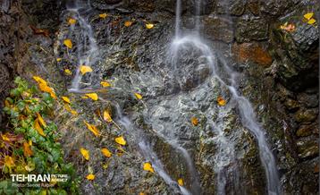 سمفونی رنگ های پاییزی - دربند 11