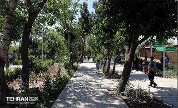 افتتاح بوستان شهدای خدمت و ۲۱۰ پروژه منطقه ۱۰ 7