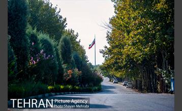 بوستان جنگلی چیتگر 5