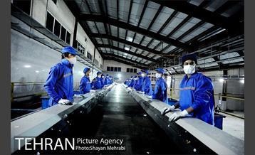 شبگردی اصحاب رسانه به میزبانی منطقه 6 4