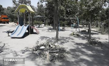 بوستان ایثار در منطقه ۲۰ به چرخه خدمت بازگشت 5