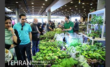 هفدهمین نمایشگاه بین‌المللی گل و گیاه 6