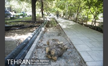 بازسازی سنگ فرش های بلوار کشاورز‎ 12