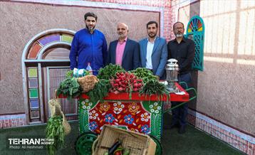 نخستین جشنواره سبزی در منطقه 18 5