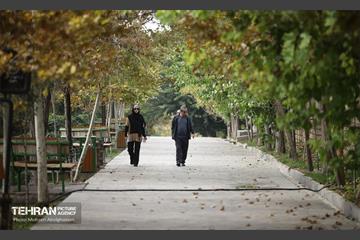 طبیعت پاییزی باغ راه فدک تهران 12