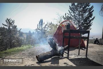 روز طبیعت در پارک جنگلی لویزان 36