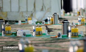 ضیافت افطاری در حرم عبدالعظیم حسنی(ع) 34