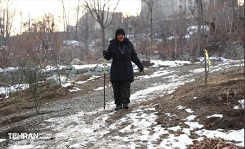 بازدید نخبگان منطقه ۵ از پروژه‌های عمرانی 10