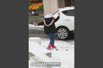 بارش برف در تهران 15