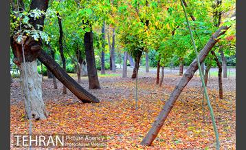 پاییز پارک شهر 3