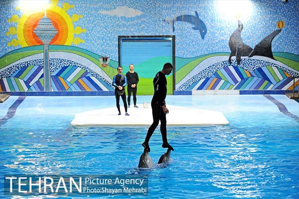 حضور خانواده هاى کارکنان شهردارى تهران در دلفیناریوم برج میلاد به همراه شهردار تهران 30