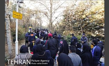 همایش بزرگ پیاده روی خانوادگی شهرداری تهران  9