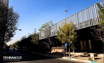 به وقت خدمت؛ باغ‌راه حضرت زهرا(س) محدوده آیت الله سعیدی 31