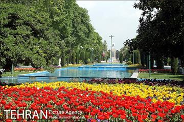 لاله های بهاری پارک شهر 10