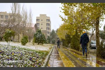 بارش برف زمستانی در منطقه 14