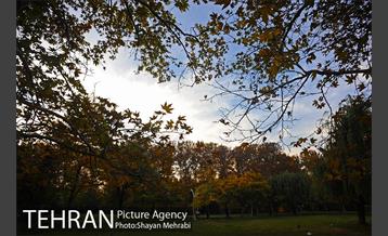 طبیعت پاییزی بوستان لاله 20