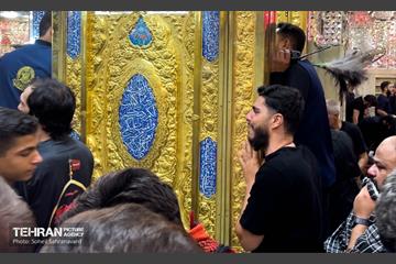 حرم مطهر امام علی (ع) در آستانه اربعین حسینی 15