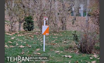 مسابقه پیاده روی و جهت یابی در پارک ملت 16