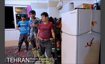 یک شب با شهردار شب تهران 19