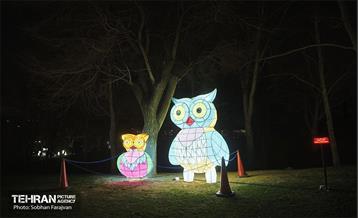 جشنواره نور تهران در بوستان ملت 31