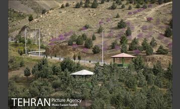 روز طبیعت در بوستان هاى منطقه ٥