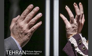 نمایش اطلسی های لگدمال شده 7