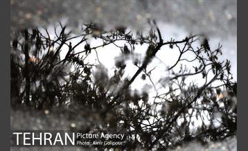 هوای پاییزی پایتخت 2